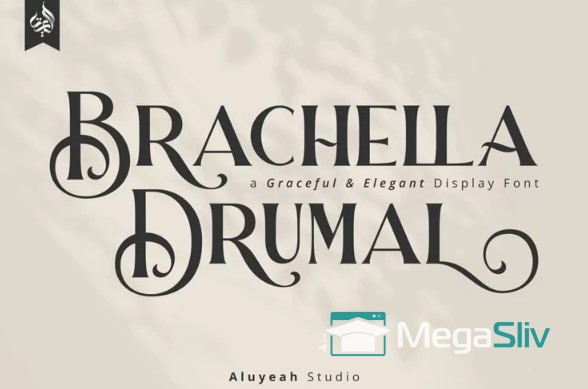  alt="Изображение [Fontbundles] Brachella Drumal Font (2021) в посте 52315" title="Картинка [Fontbundles] Brachella Drumal Font (2021) в посте 52315" 